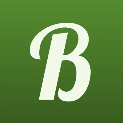 БизнесСтройПроект, лого-визитка
