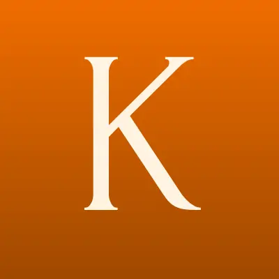 Камышинские электрические сети, лого-визитка