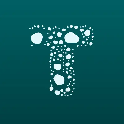 Тонировка-Проф, лого-визитка